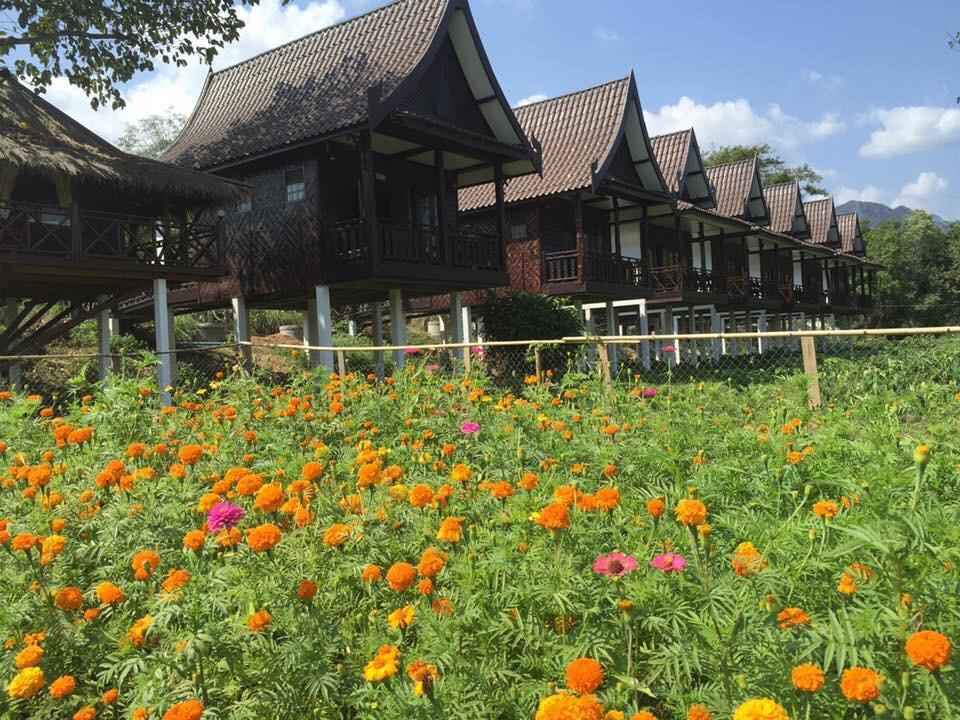 Cliff View Bungalows Vang Vieng Bagian luar foto